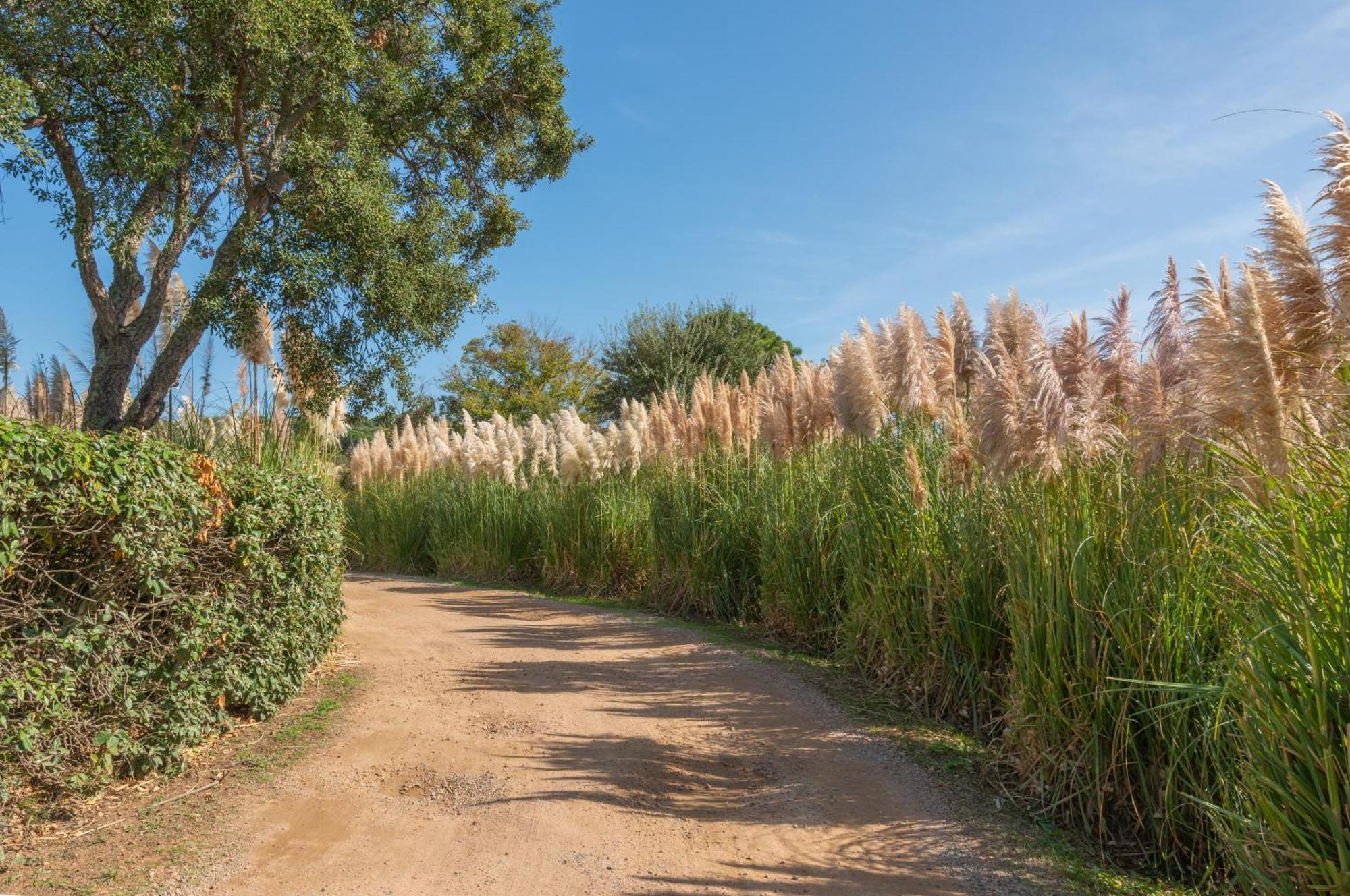 Résidence Domaine De Caranella Porto Vecchio Exterior foto